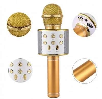 Belaidis “Karaoke” mikrofonas