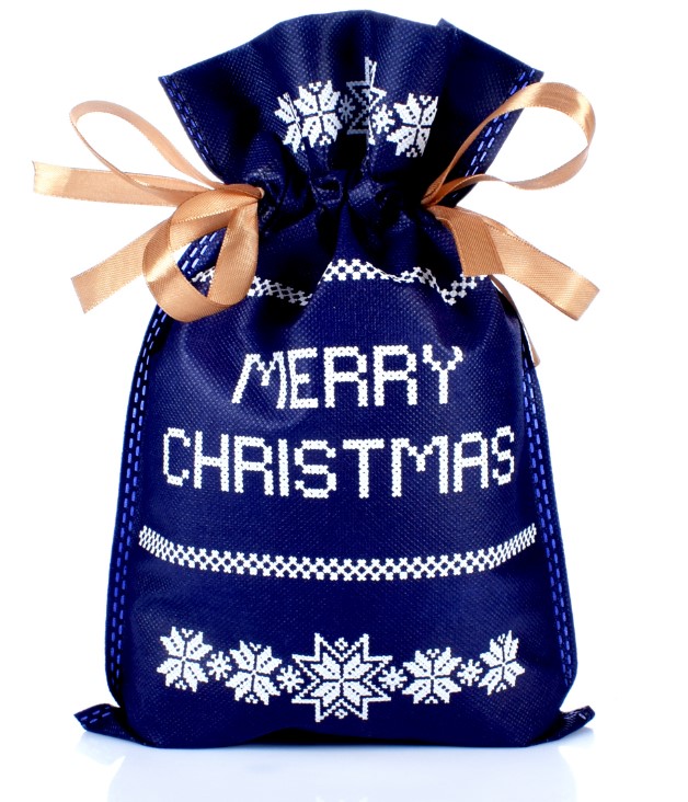 Mėlynas dovanų maišelis (30 x 20 cm)